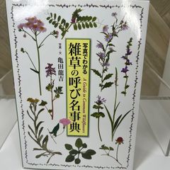 雑草の呼び名事典 - メルカリ
