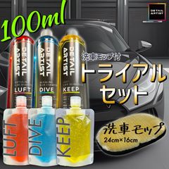 洗車モップ付　お試しサイズ　ディテールアーティスト　スターターキット　カーシャンプーセット　酸性　中性　アルカリ性　3〜5台分