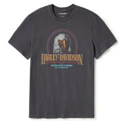 ハーレーダビッドソン　ソアリングライド グラフィック Tシャツ