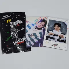 straykids  公式  トレカ  ポラ THE VICTORY SKZOO I.N  アイエン