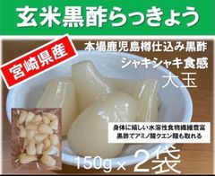 【宮崎のお漬物】玄米黒酢らっきょう150ｇ　2袋　らっきょう出荷日本一人気の一品