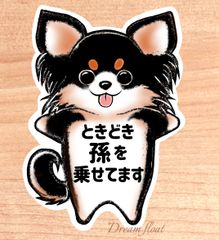 ときどき孫を乗せてます【わんこチワワ,ブラックタン】マグネットタイプ/シールタイプ/吸盤タイプ