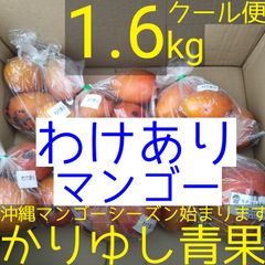 沖縄県産マンゴー