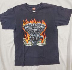 Item thumbnail for item d09f0e1d-1474-4992-a761-7acbb07c4ec6