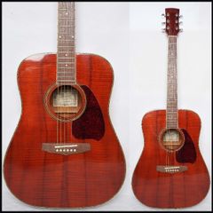 Ibanez アコースティックギター KOA Ibanez Exotic Wood Series Nylon String Acoustic Guitar Koa