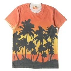 TMT ティーエムティー Tシャツ サイズ:M バハカリフォルニア 全面プリント クルーネック Tシャツ S/SL 19/1 RAFI JERSEY 18SS オレンジ トップス カットソー 半袖のサムネイル
