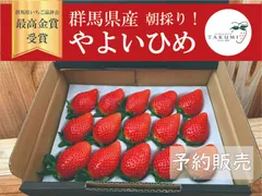 2025年最新】やよいひめの人気アイテム - メルカリ 