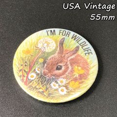 Item thumbnail for item 79e72ea8-7065-4d4a-a035-3c88f3246423