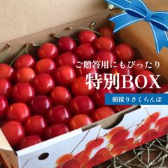専用クール便‼️山形県産さくらんぼ【佐藤錦】丸秀以上1kg - メルカリ