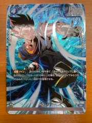 ベジット　リーダーパラレル ベジット リーダーパラレル