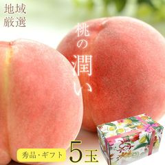 【7月7日から順次ご発送】【 桃 ギフト 大玉 5玉 】 桃 予約 送料無料 「潤い」桃ギフト 桃 5玉 大玉 300g 以上 ギフト用 贈答品 和歌山県 和歌山 山梨 山形 福島 桃 もも モモ ギフト プレゼント ご自宅用 果物 くだもの フルーツ