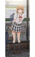 [중고] 태피스트리 일색 이로하 신작 BIG 태피스트리 [역시 내 청춘 러브 쌀은 틀렸다. 완]