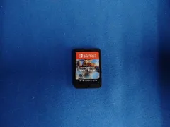 ソフトのみ　ニンテンドースイッチ イモータルズ フィニクス ライジング