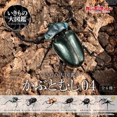 いきもの大図鑑 かぶとむし04 モーレンカンプオオカプト(別名