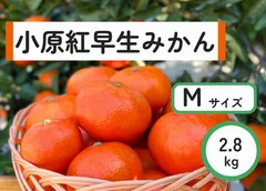 2024年最新】約6.1 kgの人気アイテム - メルカリ