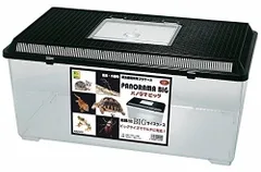 빅 파노라마 산코