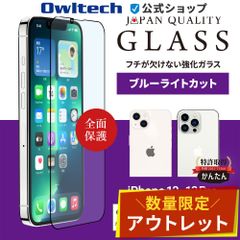 【アウトレット/お買い得品】iPhone 13/13 Pro対応 全面保護 強化ガラス マット・ブルーライトカット 貼り付けキット付き オウルテック公式
