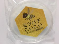 ☆新品☆ミツバチ 誘引ルアー 逃亡群誘引剤 分蜂群誘引剤 日本密