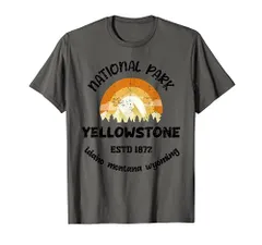 希少！　90s〜00s YELLOW STONE 国立公園　Tシャツフルダン