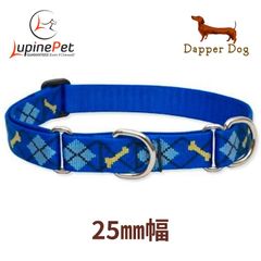 ハーフチョークカラー　ダッパードッグ柄　25mm幅　アメリカ製　軽量　丈夫　アメリカ直輸入　LUPINE ルパイン