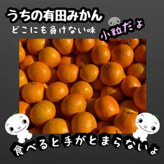 2025年最新】みかんの出品中の人気アイテム - メルカリ