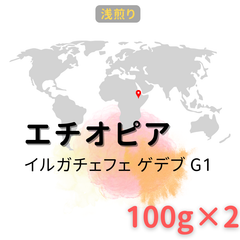 【浅煎り】エチオピア（アフリカ）/イルガチェフェ ゲデブ G1/200g