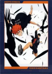 【中古】クリアファイル B.日向翔陽＆影山飛雄(背景白) A4クリアファイル 「ハイキュー!!」