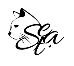 shop-thumbnail
