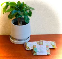 ■お香＆お香台セット： 水紫山明 緑茶 　香台　Leafセット　※ショートお香