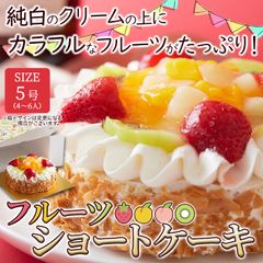 【約15cm】フルーツショートケーキ 色とりどりのフルーツをたっぷりトッピング 白桃 いちご 黄桃 キウイ 冷凍 ホールケーキ スイーツ 洋菓子 sweets fruit cake