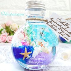 海ハーバリウム❁⃘*.ﾟ マリンハーバリウム ギフト インテリア