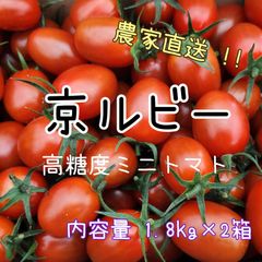 【京ルビー内容量1.8kg×2】高糖度フルーツミニトマト