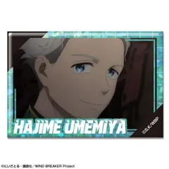 【新品・公式】WIND BREAKER ホログラム缶バッジ デザイン14(梅宮一/A) 公式グッズ colleize