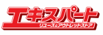 菜花様専用　ヘルメットカバー