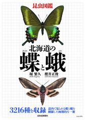 原色日本昆虫図鑑Ⅱ シークレット入り 12種フルコンプ 原色日本昆虫図鑑Ⅱ シークレット入り 12種フルコンプ（インスト付