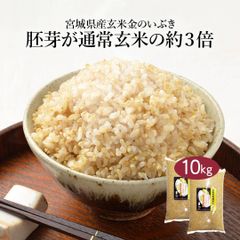 玄米 宮城県産 金のいぶき 10kg (5kg×2) 令和6年産 お米 おくさま印 国産 食品 栄養 健康 ギフト 引っ越し 挨拶 出産 内祝い 母の日 父の日 お中元 お歳暮 結婚 快気 還暦 香典返し お年賀 送料無料