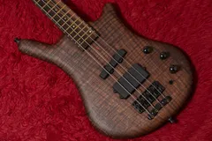 2025年最新】warwick thumb bassの人気アイテム - メルカリ