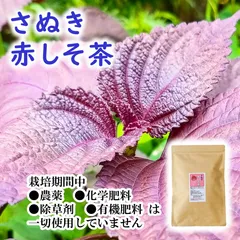 長年無農薬 赤紫蘇の葉茎付き ネコポス一杯 - 香味・薬味野菜 - 野菜
