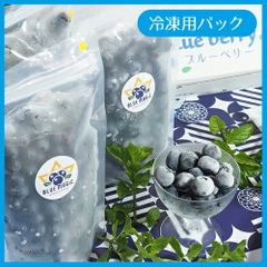 《 高級 大粒 冷凍ブルーベリー 1kg 》【 無添加 冷凍】 国産 千葉県産 blueberry オーガニック ブルーマジック blueberry_frozen1000