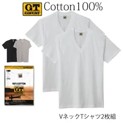 【メール便送料無料】GUNZE G.T.HAWKINS メンズ Vネック Tシャツ 2枚組 綿100％ 天竺素材 V首 グンゼ GTホーキンス ＃Q1 01-HK10152[M便 1/1]