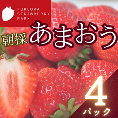 福岡県産あまおういちご 4パック (1140g)
