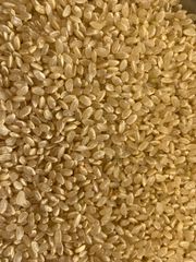 宮城県産　ササニシキ　玄米2キロ