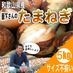 【予約】新玉ねぎ 和歌山県産 薮下さんの特別栽培 新たまねぎ 新玉葱 訳あり 5ｋｇ ※発送時期: 5月中下旬より順次発送開始予定