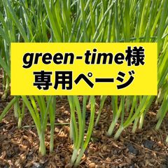 green-time様専用ページ‼️玉ねぎ苗