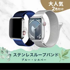 【2本セット】 Apple Watchバンド シルバー・ブルー　38/40/41/42/44/45mm ステンレスループ