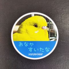 送料無料　セキセイインコ　インコ「インコ　おなかすいた　ステッカー」（約６０ｍｍ×約６０ｍｍ）