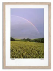 アートフォト 絵画 麦畑と虹1 高橋真澄/インテリア 額入り 額装込 風景画 油絵 ポスター アート アートパネル リビング 玄関 プレゼント モダン アートフレーム 飾る Mサイズ おしゃれ 壁掛け 絵