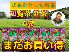 新茶入荷しました!!!全国 送料無料 健康  一番茶 日本茶 煎茶  緑茶 新茶 母の日 上級煎茶 知覧茶 100g✕6袋セット　八十八夜