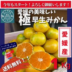 【甘味と酸味のバランスが絶妙】八百屋厳選！愛媛の美味しい極早生みかん　1Ｋgのサムネイル