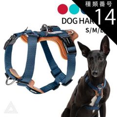 Item thumbnail for item 54272c0a-683d-405f-8185-43826fc0f213